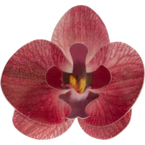 Květy z jedlého papíru orchidej růžová