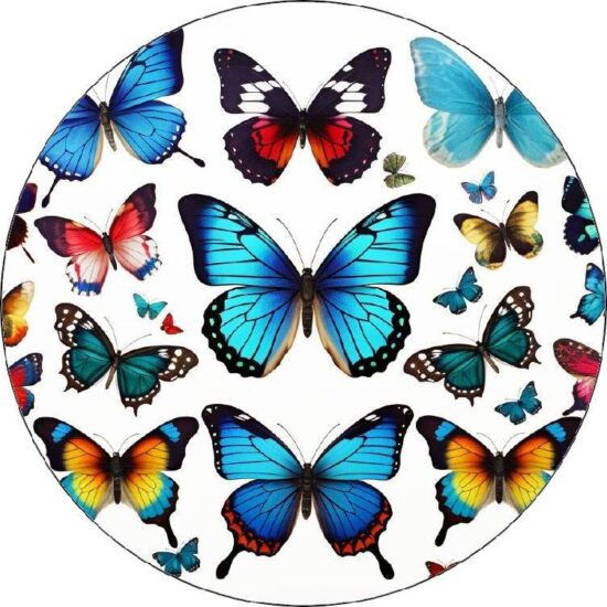 Jedlý papír barevní motýli