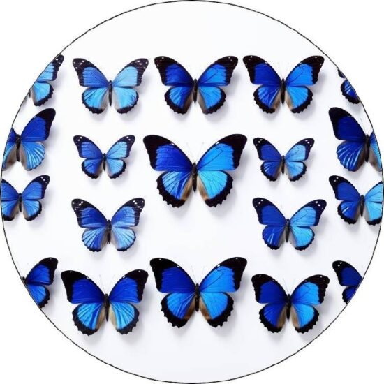 Jedlý papír modří motýli